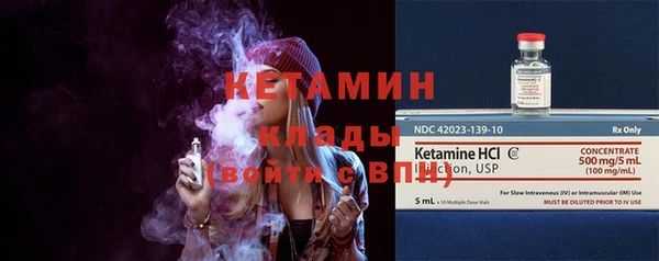 хмурый Аркадак