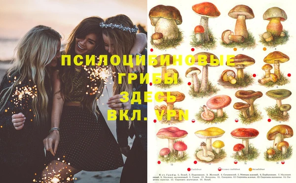 дурь Баксан