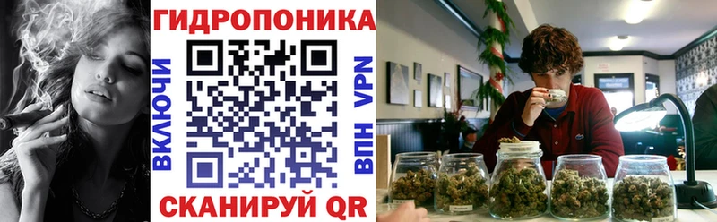 Конопля конопля  Стародуб 